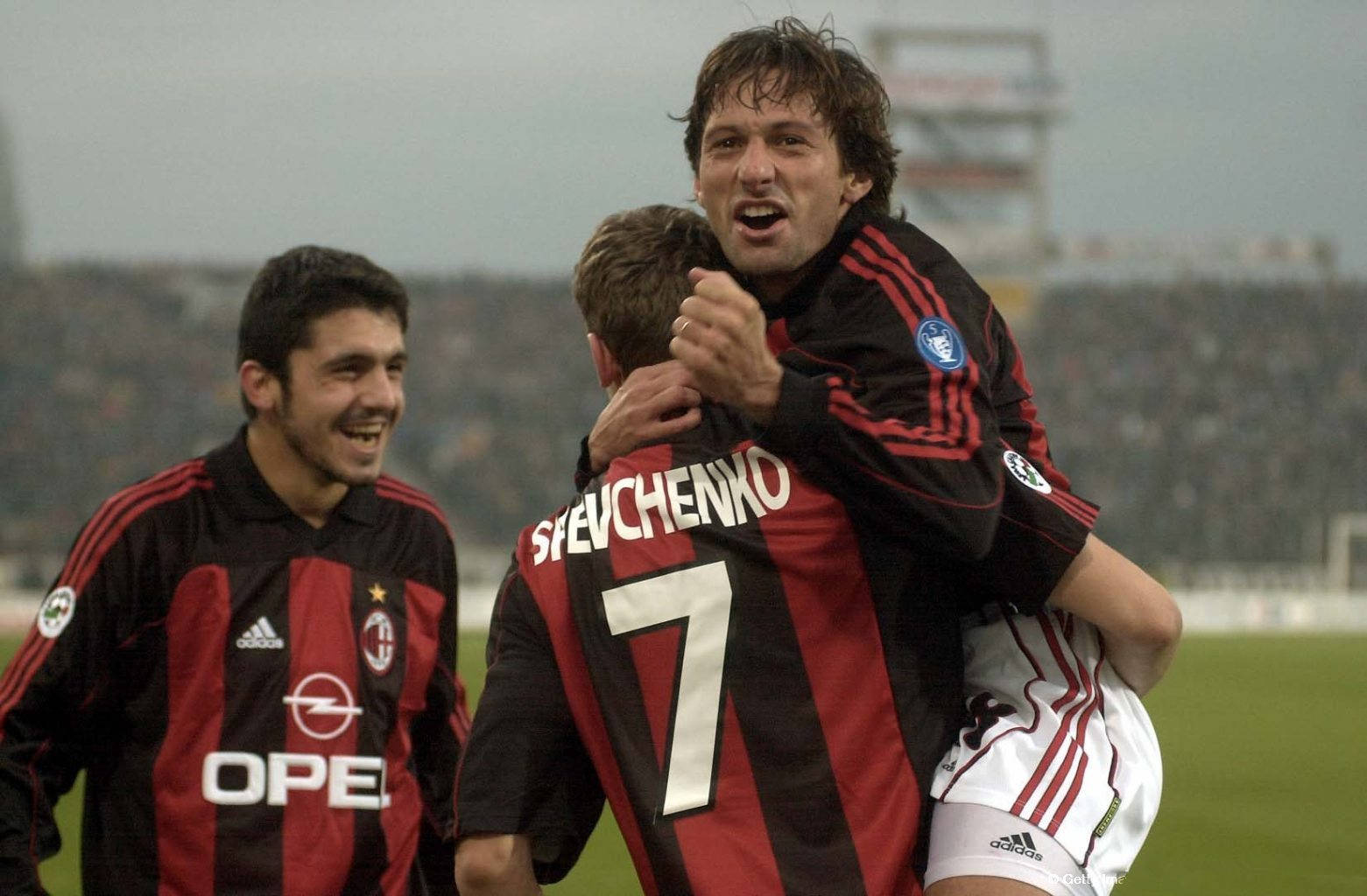 赛的冷静掌 赛的冷静掌