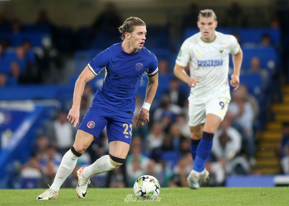 组织后场能 组织后场能